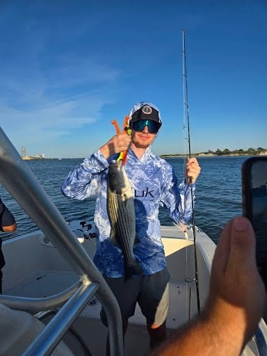 Striped Bass
