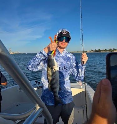 Striped Bass